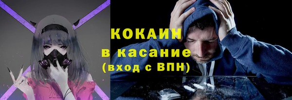 крисы Армянск