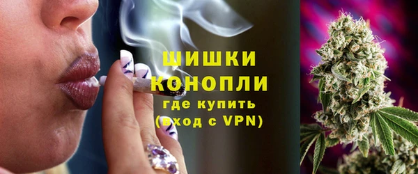 соль ск Алексин
